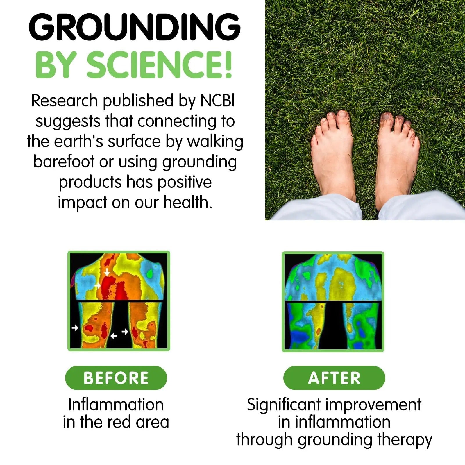 Grounding Matta